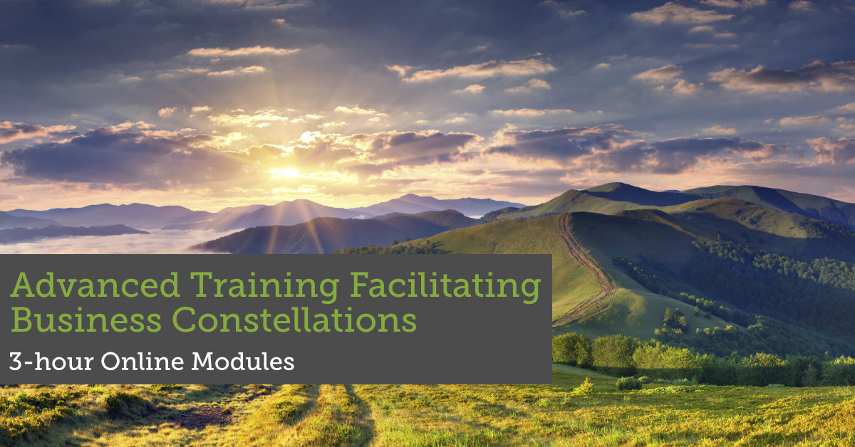 Advanced Modules Business Contellations FB image