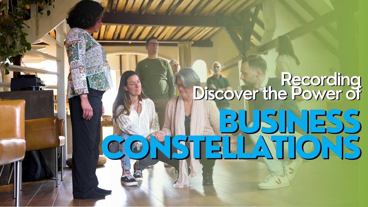 Discover the Power of Business Constellations