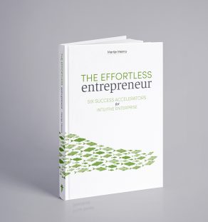 Effortless Entrepreneur 3D