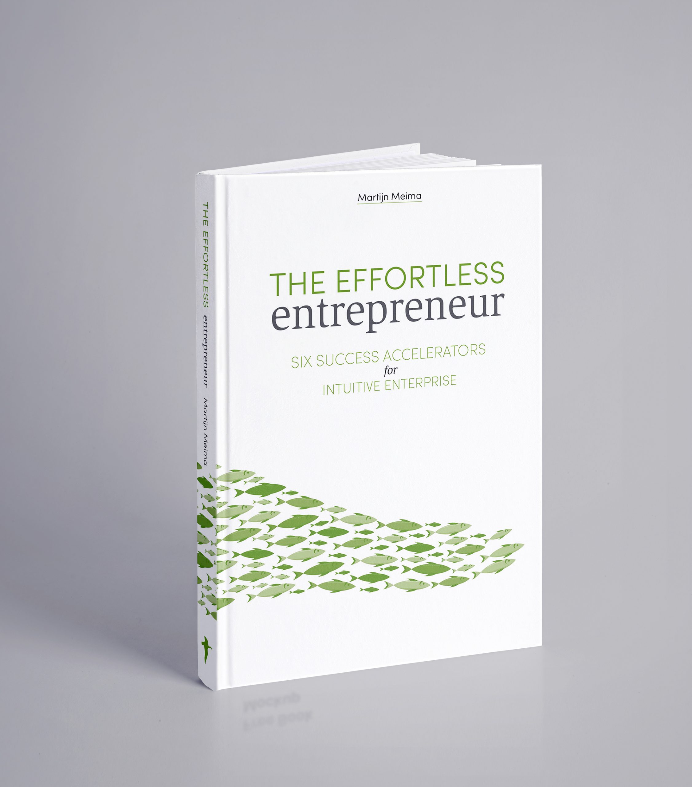 Effortless Entrepreneur 3D