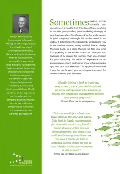 Effortless Entrepreneur back