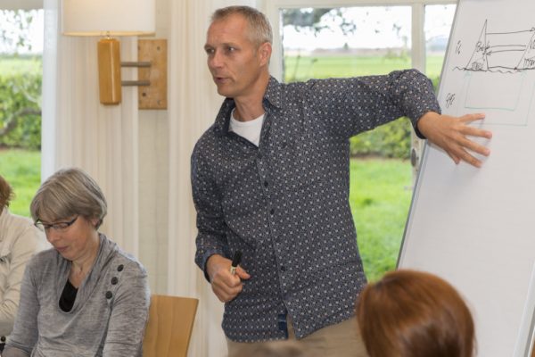 Facilitating Business Constellations