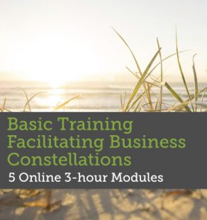 Basic Training Facilitating Business Constellations