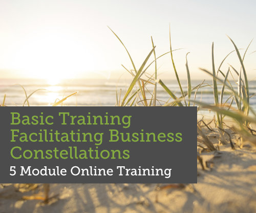 Basic Training Facilitating Business Constellations
