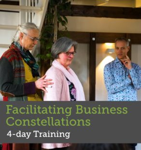 Training Facilitating Business Constellations
